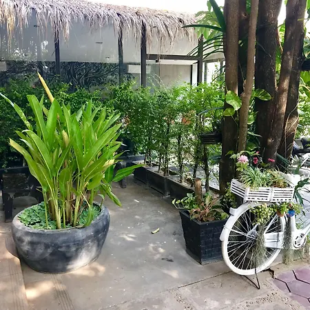 Champey Villa-2