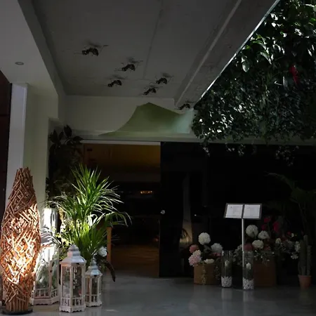Hotel Cuevas - Adults Only-3