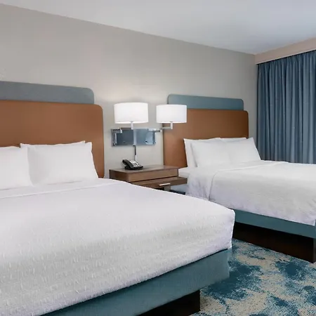 Hampton Inn & Suites Tampa Airport Avion Park Westshore-3