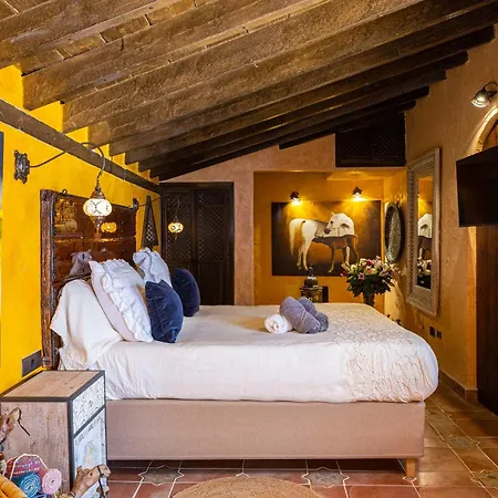 Cortijo Boutique Marbella-3