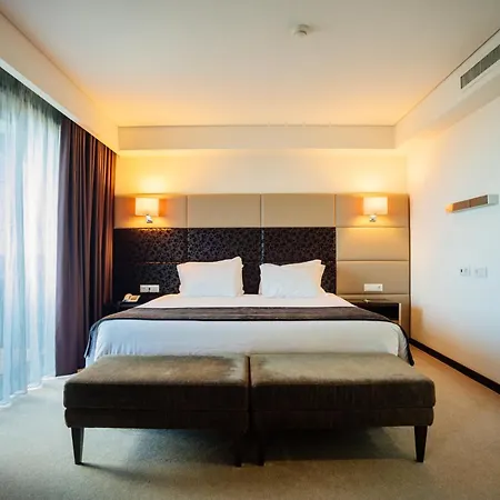 Axis Porto Business & Spa Hotel-3