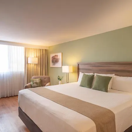 Stanza Hotel-2