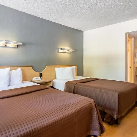 Econo Lodge Palm Harbor - Clearwater-3