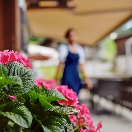 Hotel Alphorn-2