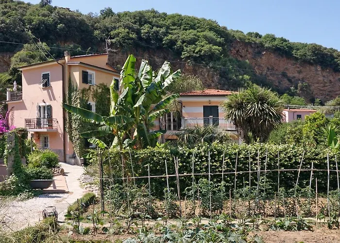 Apartment: La Musa