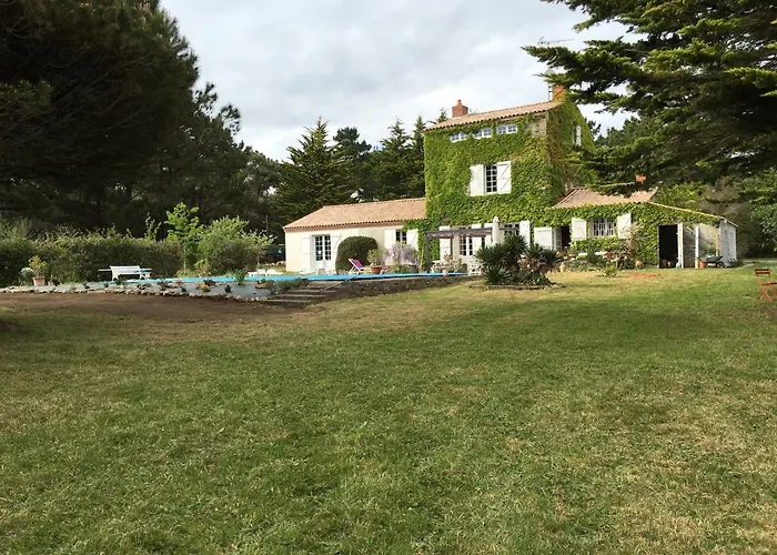 Les galets de Cayola