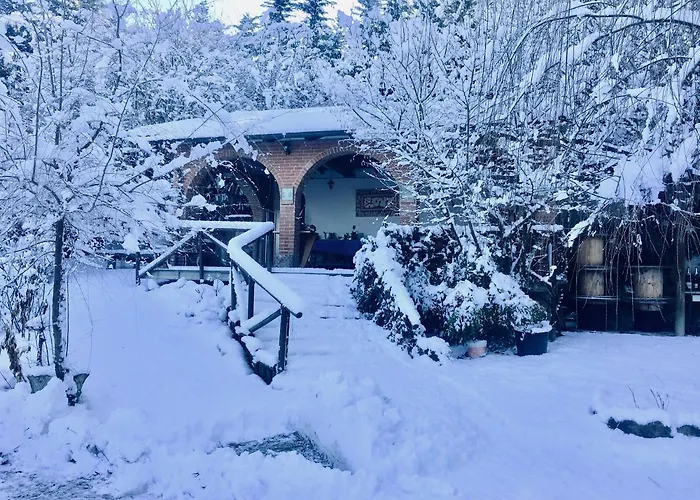 La Villarella Dei Tulipani
