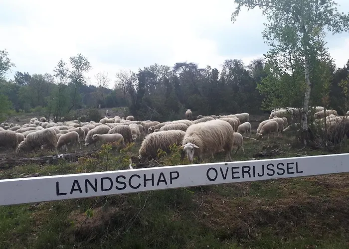 Hammerhoeve