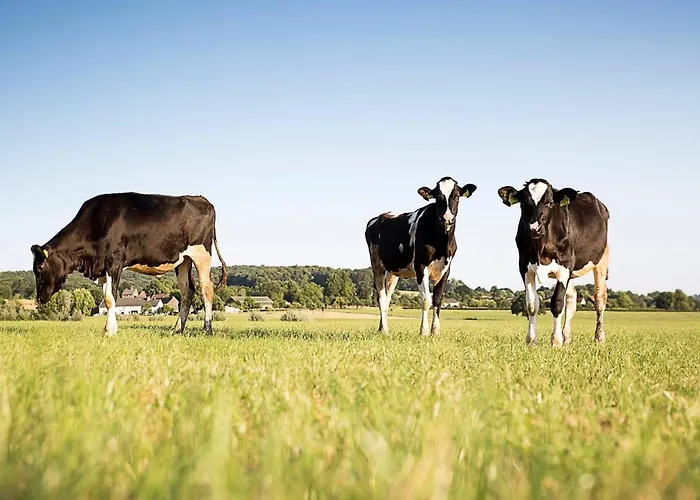 Vakantieverhuur: Puur Mechelen