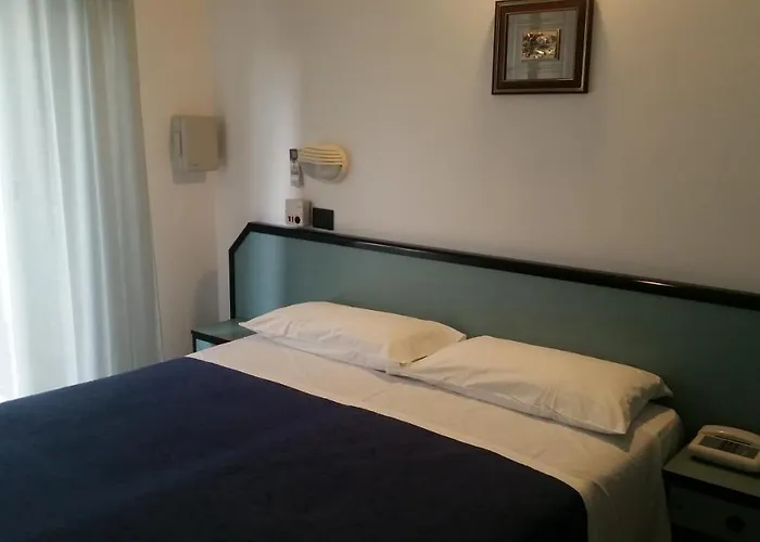 Hotel adatto agli animali: Hotel Caravelle