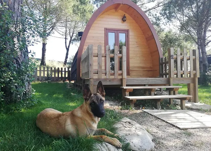 Casa de hóspedes: Glamping Sintra