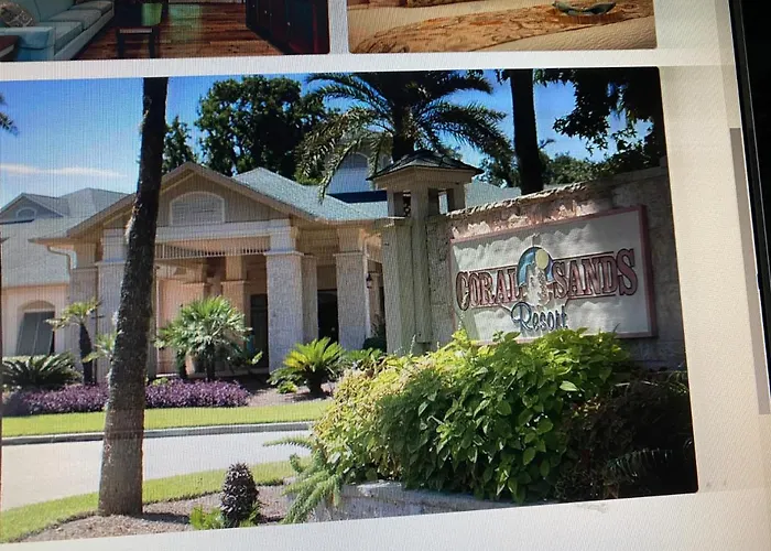 Ping Pong hotel: Coral Sands Resort By Palmera