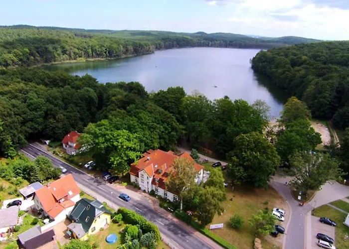 Meeressterne Idyll Am Wolgastsee