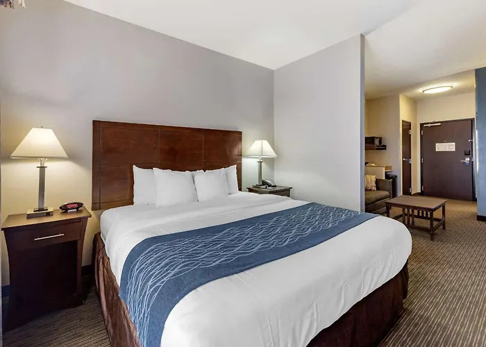 Comfort Inn & Suites Oklahoma City West - I-40