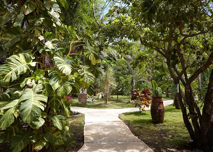 Coco Hacienda - Adults Only