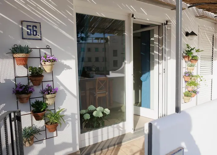 Albergo centrale: La Pigna Blu