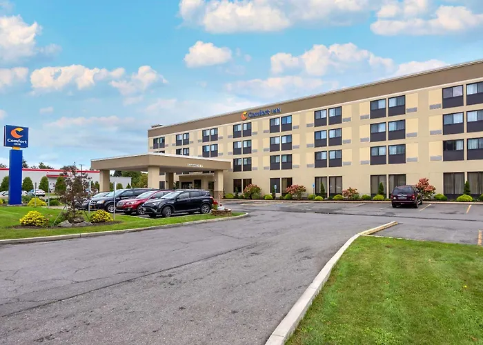 Cheap hotel: Comfort Inn Binghamton I-81