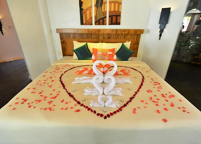 Pet Friendly hotel: Ambassador In Paradise