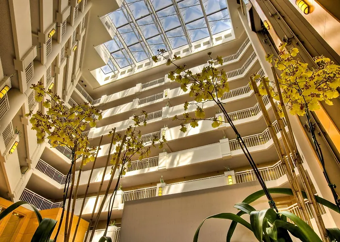 Hotel with pool: Hilton Santa Monica