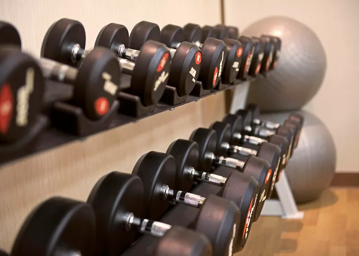 Family Hotel: Mena Plaza Hotel Albarsha At The Mall