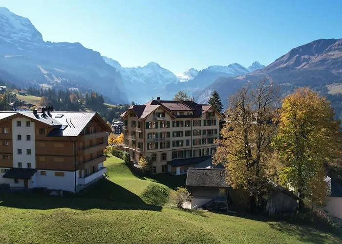 3 star hotel: Historic Hotel Falken
