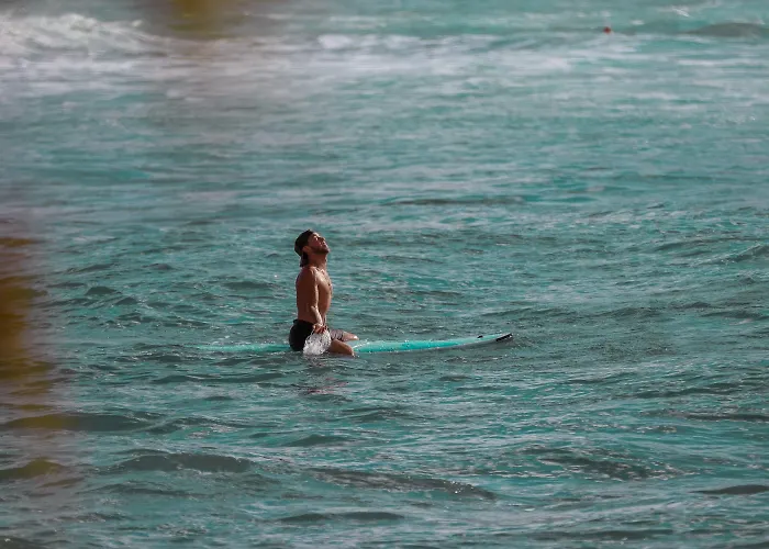 Self catering: Ohia Waikiki Studio Suites