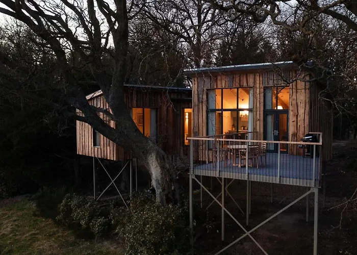 Chiffchaff Treehouse