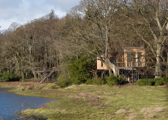 Chiffchaff Treehouse