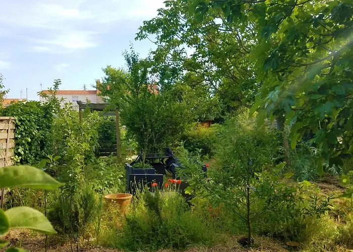 Les Ecologites De La Rochelle
