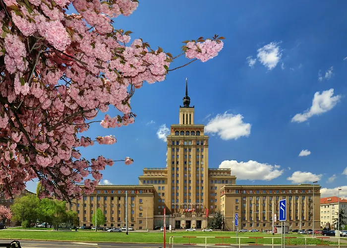  Grand International - Czech Leading s