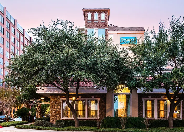 Pets Allowed Hotel Staybridge Suites San Antonio Airport By Ihg