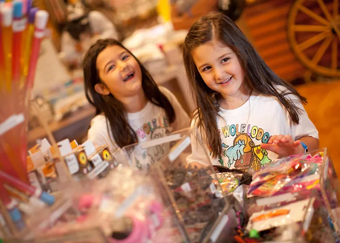 Zentrales Hotel: Great Wolf Lodge Waterpark Resort