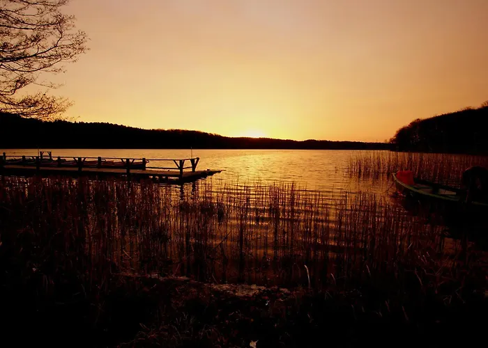 Meeressterne Idyll Am Wolgastsee