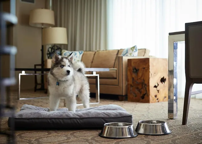 Denver Marriott Westminster