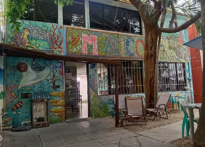 Balagan Planta Alta