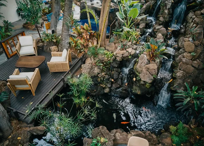 Pet Friendly hotel: White Sands Hotel