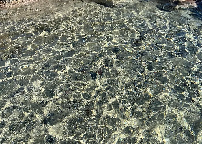 White Pearl - Luxury