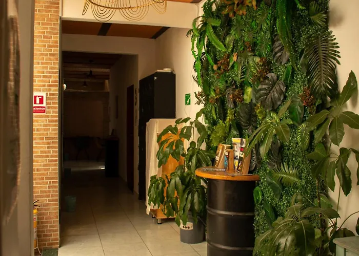 Guest house: Oasis Hostel Medellin