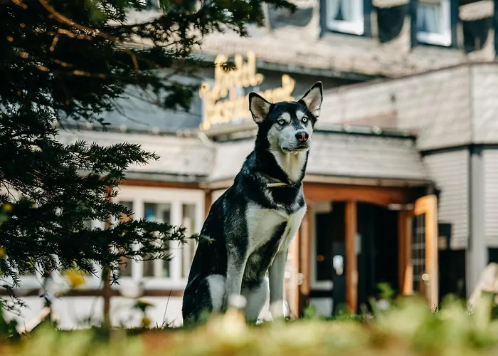 Skivakantie: Romantik Berghotel Astenkrone