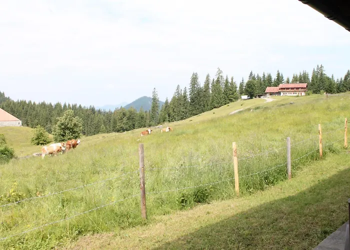 3 SterneHotel Winklmoos Sonnenalm
