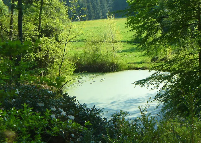 Forstgut Stübeckshorn