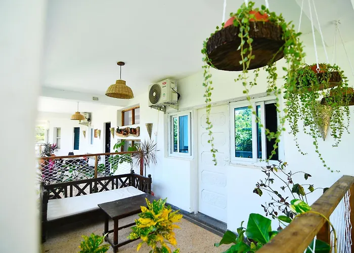 Beach hotel: Tulia House Backpackers