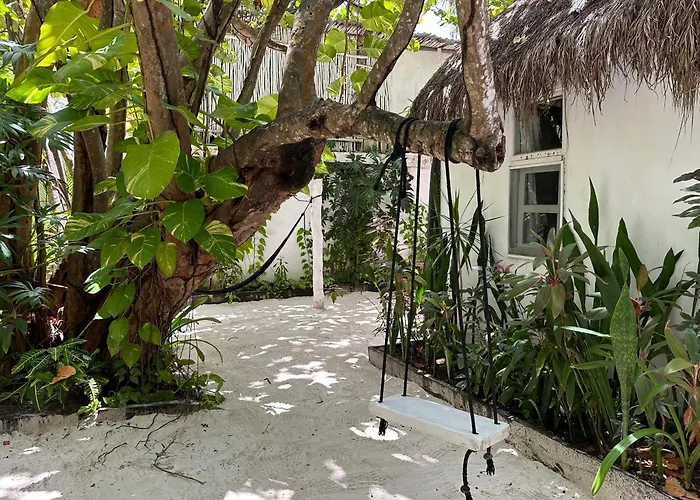 Hôtel accueillant les animaux: Coco Tulum Hotel