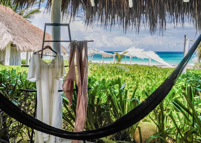 Hôtel accueillant les animaux: Coco Tulum Hotel