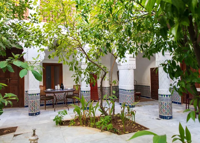 Hotel que admite mascotas: Riad Ben Youssef