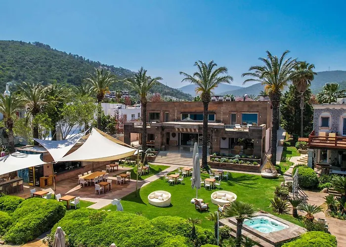 Casa Dell'Arte Of Arts & Leisure