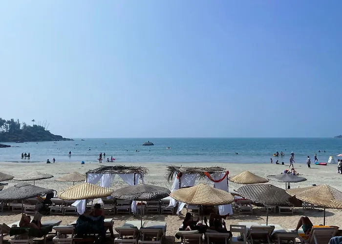 Boutique hotel only: Art Resort Goa