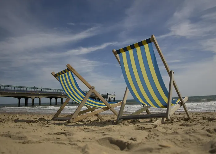 Guest house: Denewood Hotel