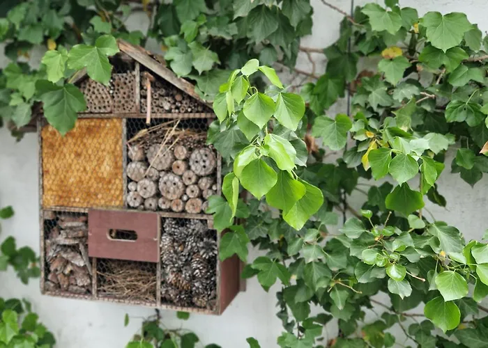 Resort: Hostel Koeln