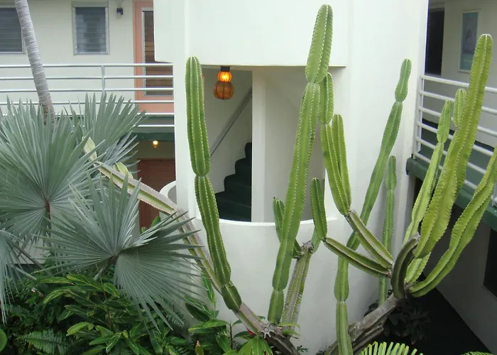 Pet Friendly hotel: El Patio Motel
